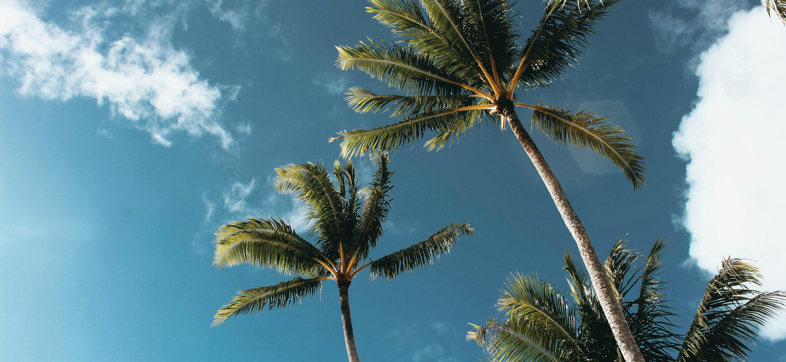 Visible Value Stream Consulting for DevOps Success in Toronto